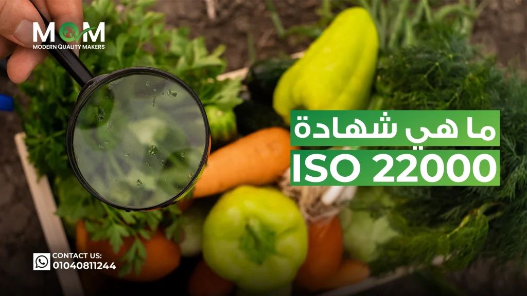 ما-هي-شهادة-الأيزو-22000
